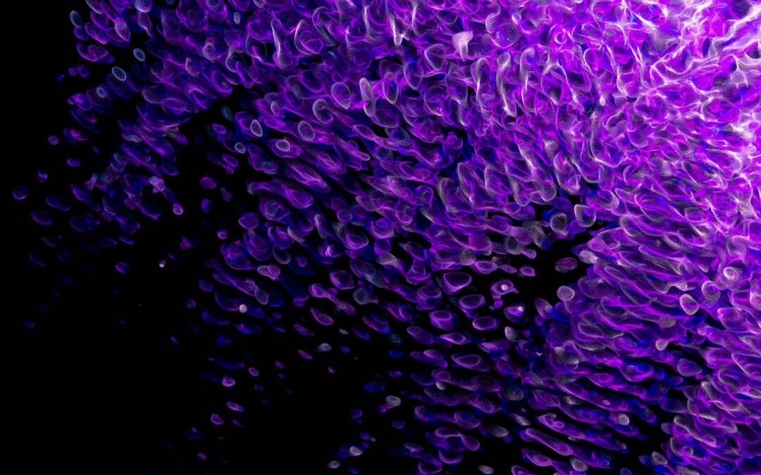 Il significato dei colori: il viola